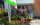 Imkerstand beim Stadtfest